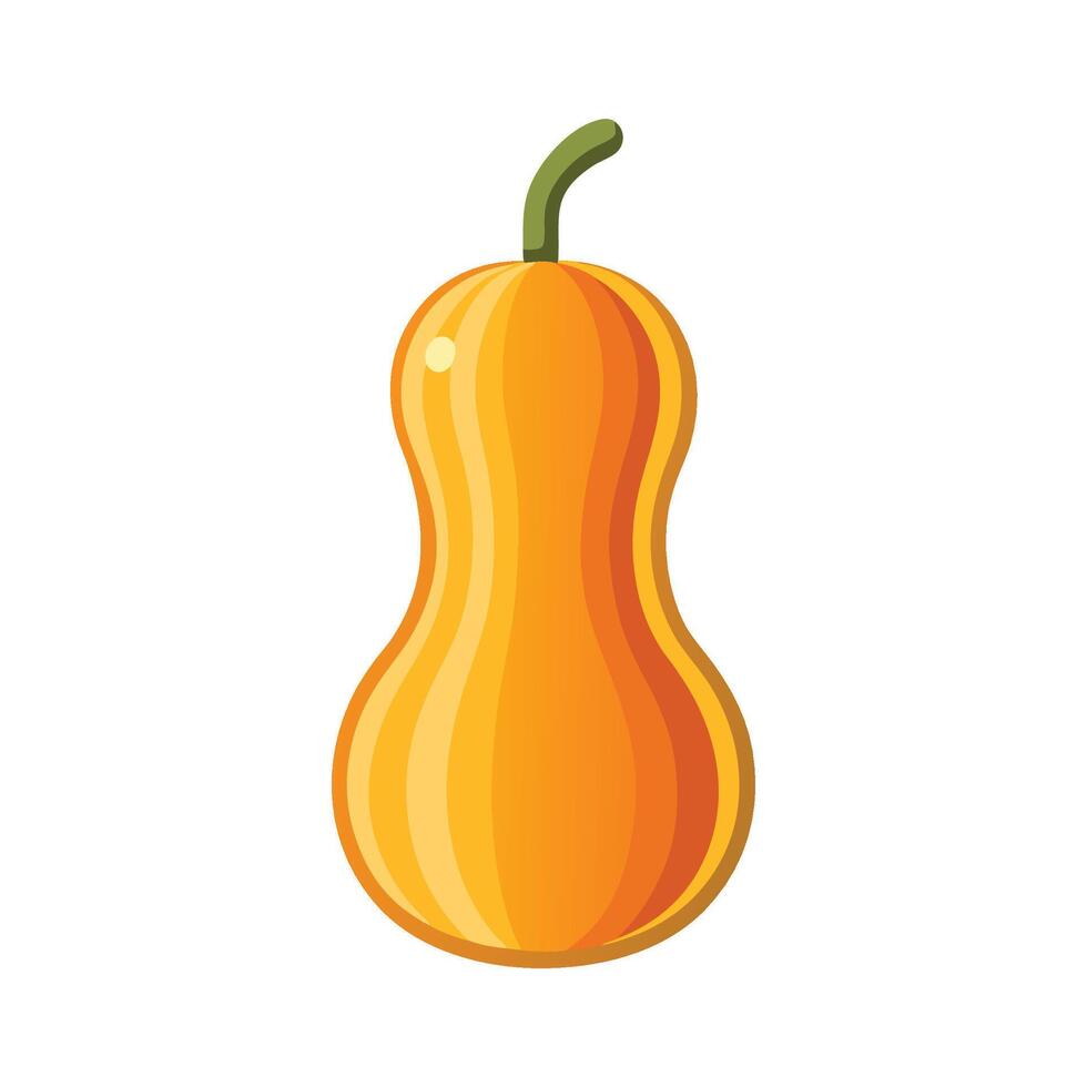 Butternut Squash with Long Curved Neck vector