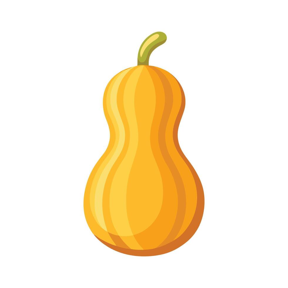 Flat Icon of Butternut Squash with Curvy Shape vector