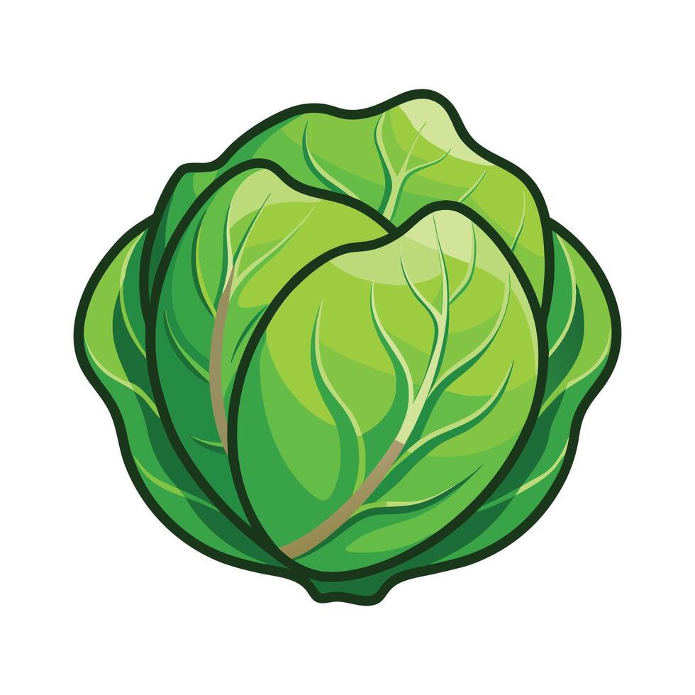 Stylish Cabbage Leaf with Wrinkled Surface vector