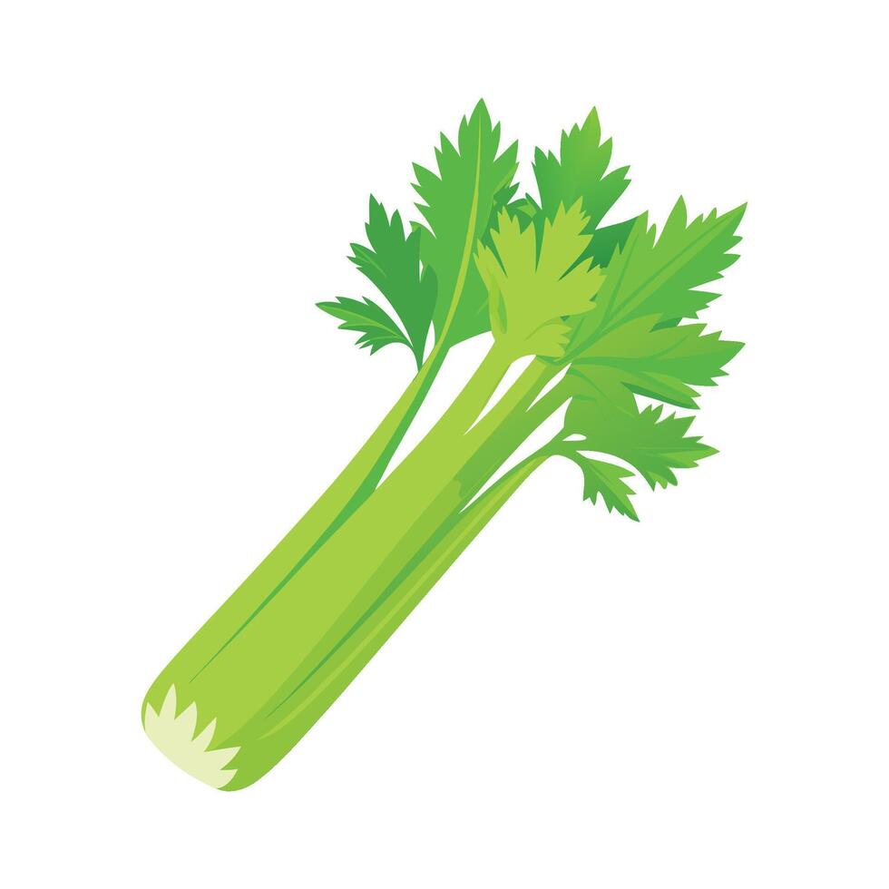 Elegant Celery Stalk with Crisp Leaves vector