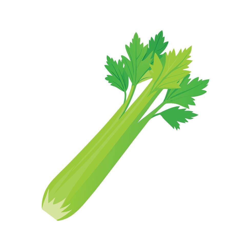 Celery Stalk with Crisp Leaves Design vector