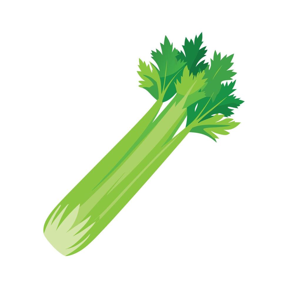 Flat Icon of Celery Stalk with Crisp Leaves vector