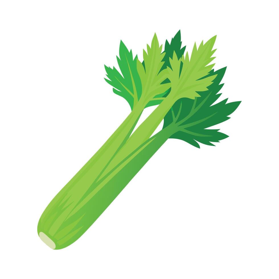 Elegant Celery Stalk with Crisp Texture vector