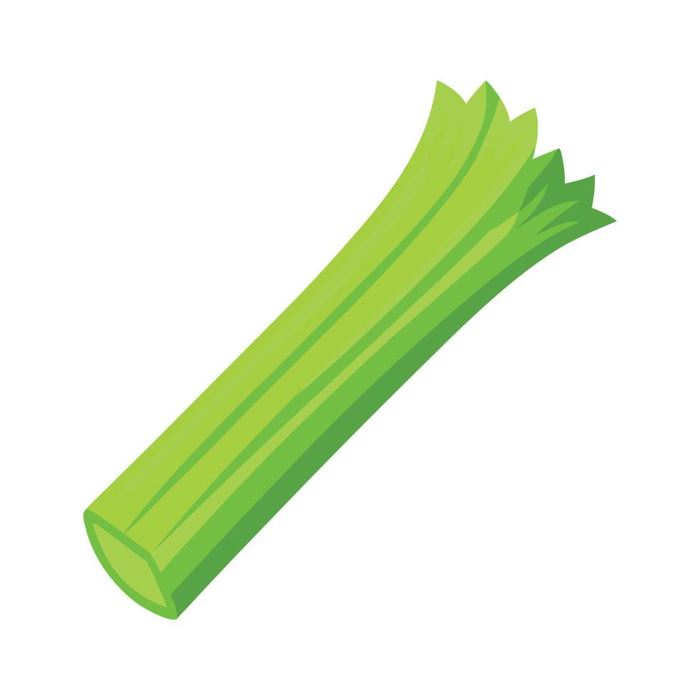 Celery Stick with Curved Ribs Design vector