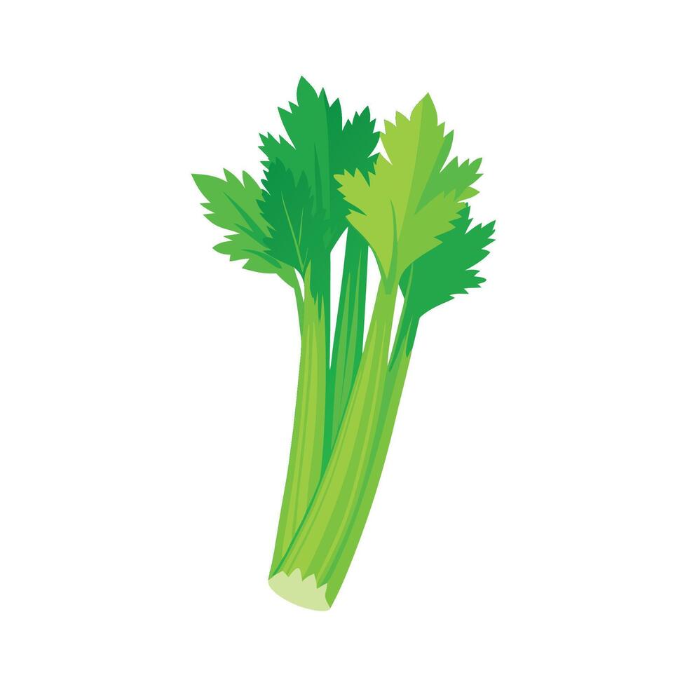 Flat Icon of Celery Stalk with Crisp Texture vector