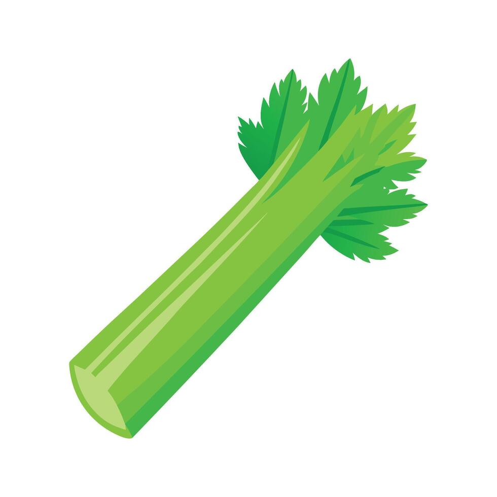 Elegant Celery Stick with Crisp Edges vector