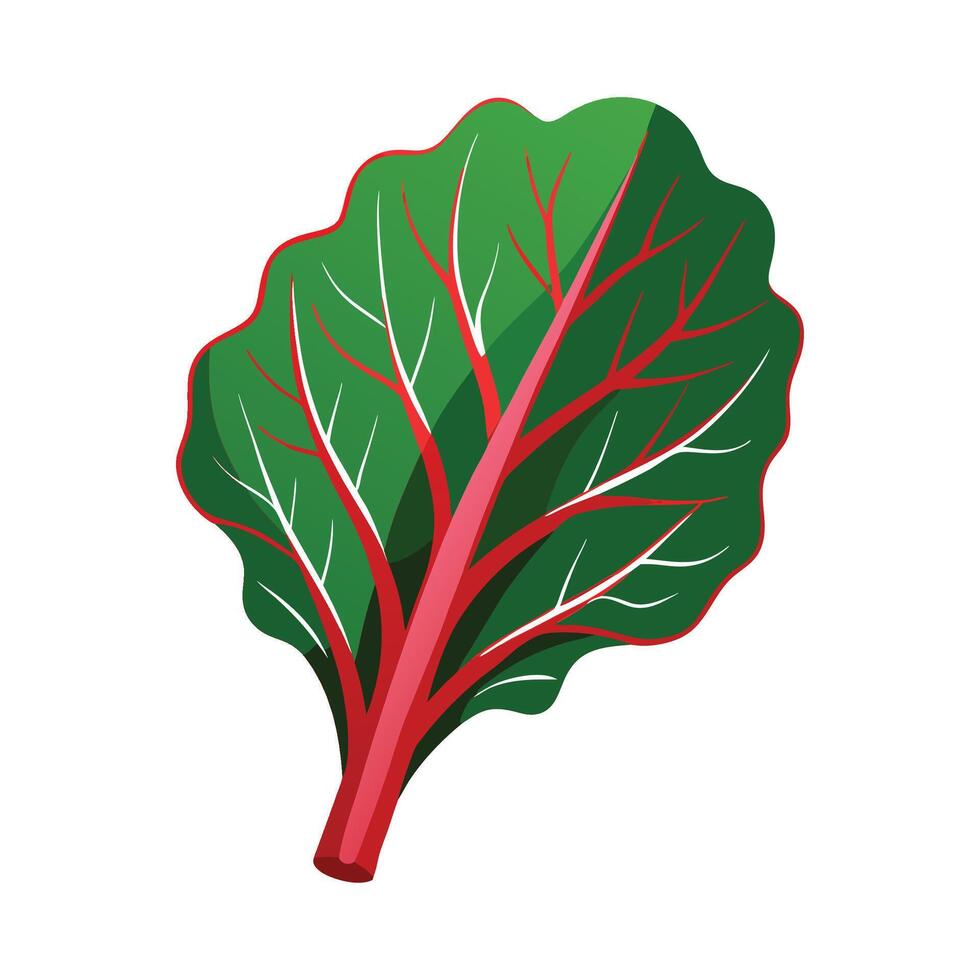 Stylish Chard Leaf with Bright Stems vector