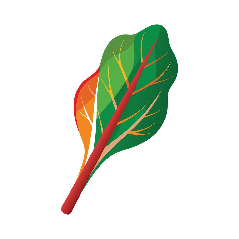 Chard Leaf with Colorful Stems vector