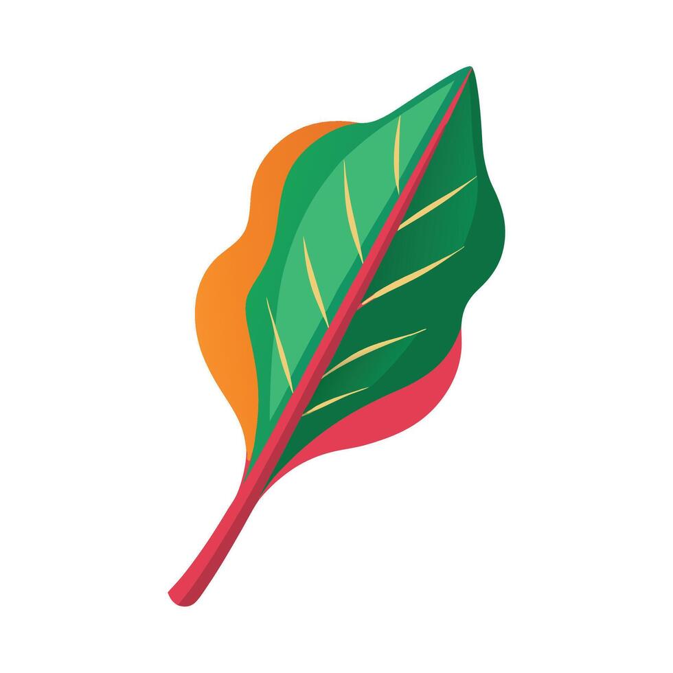 Elegant Chard Leaf with Colorful Stems vector