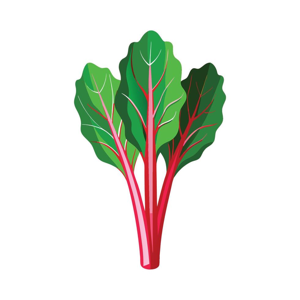 Flat Icon of Chard with Bright Red Stems vector