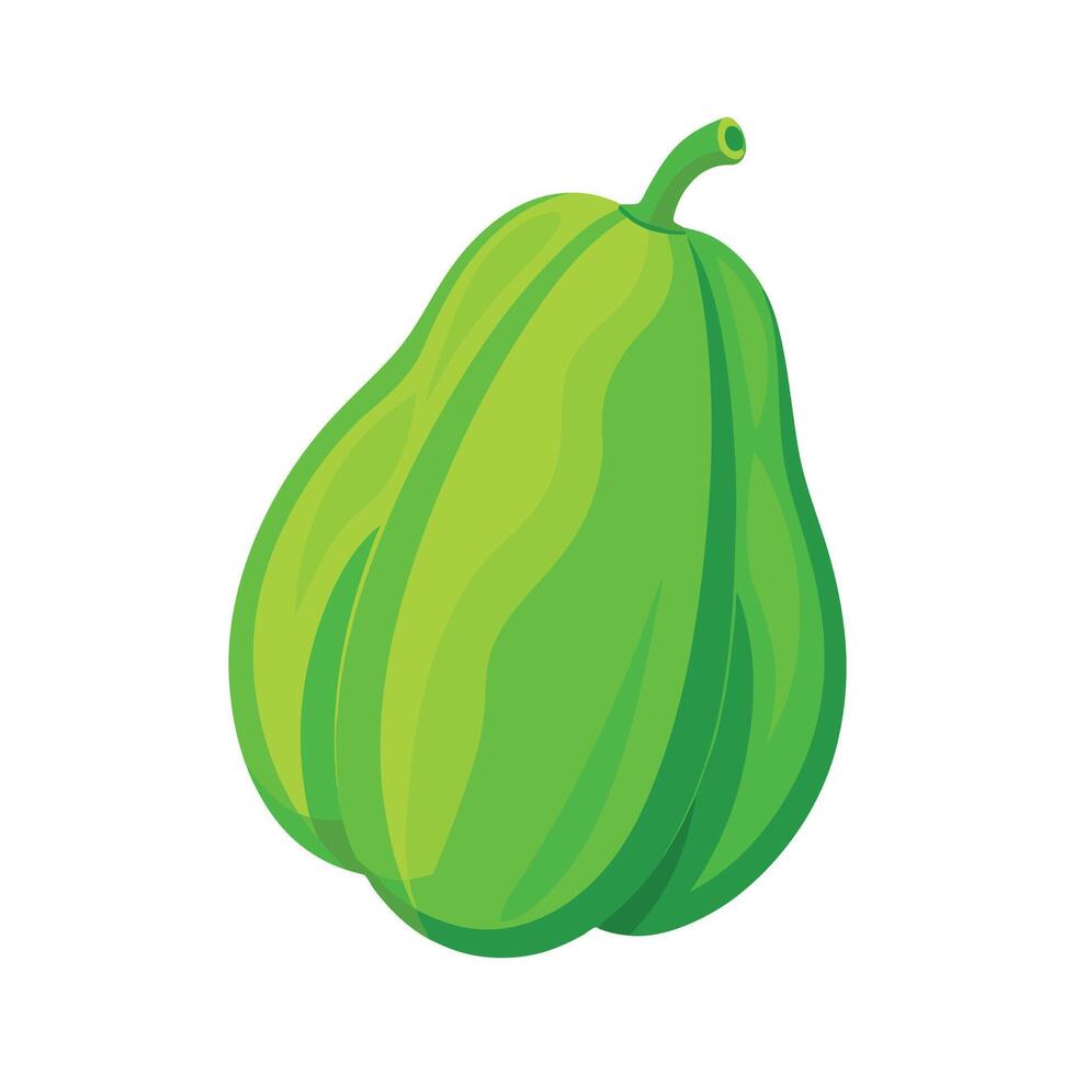 Elegant Chayote Squash with Lumpy Surface vector