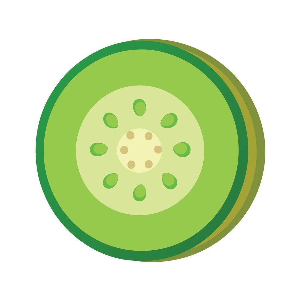 Cucumber Slice with Visible Seeds for Art vector