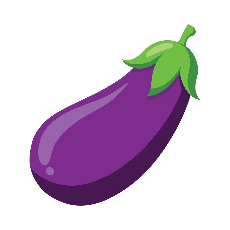 MediumSized Eggplant with Glossy Skin vector