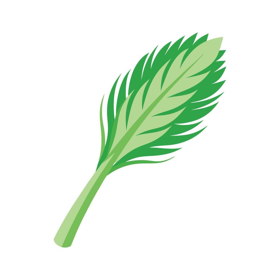 Elegant Fennel Fronds with Fine Texture vector