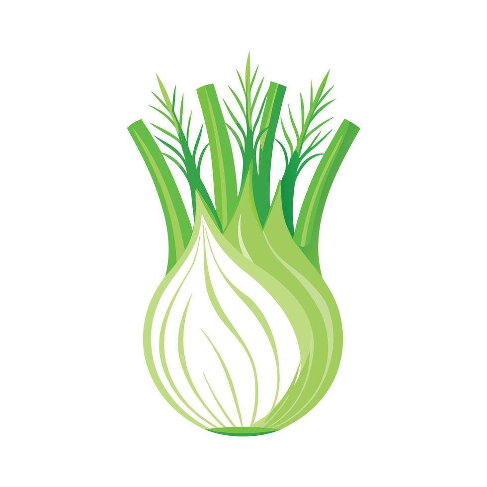 Fennel with Delicate Fronds for Artistic Design vector