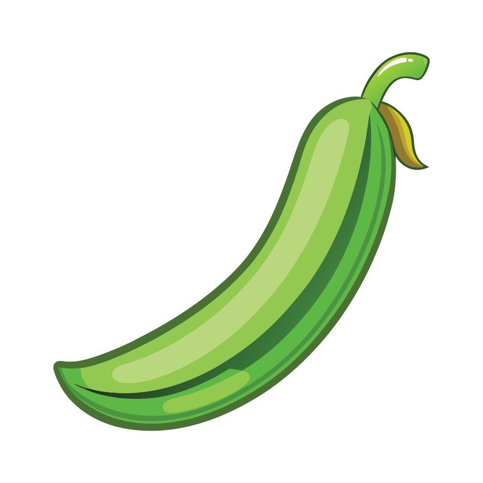 Single Green Bean with Slight Arch Illustration vector