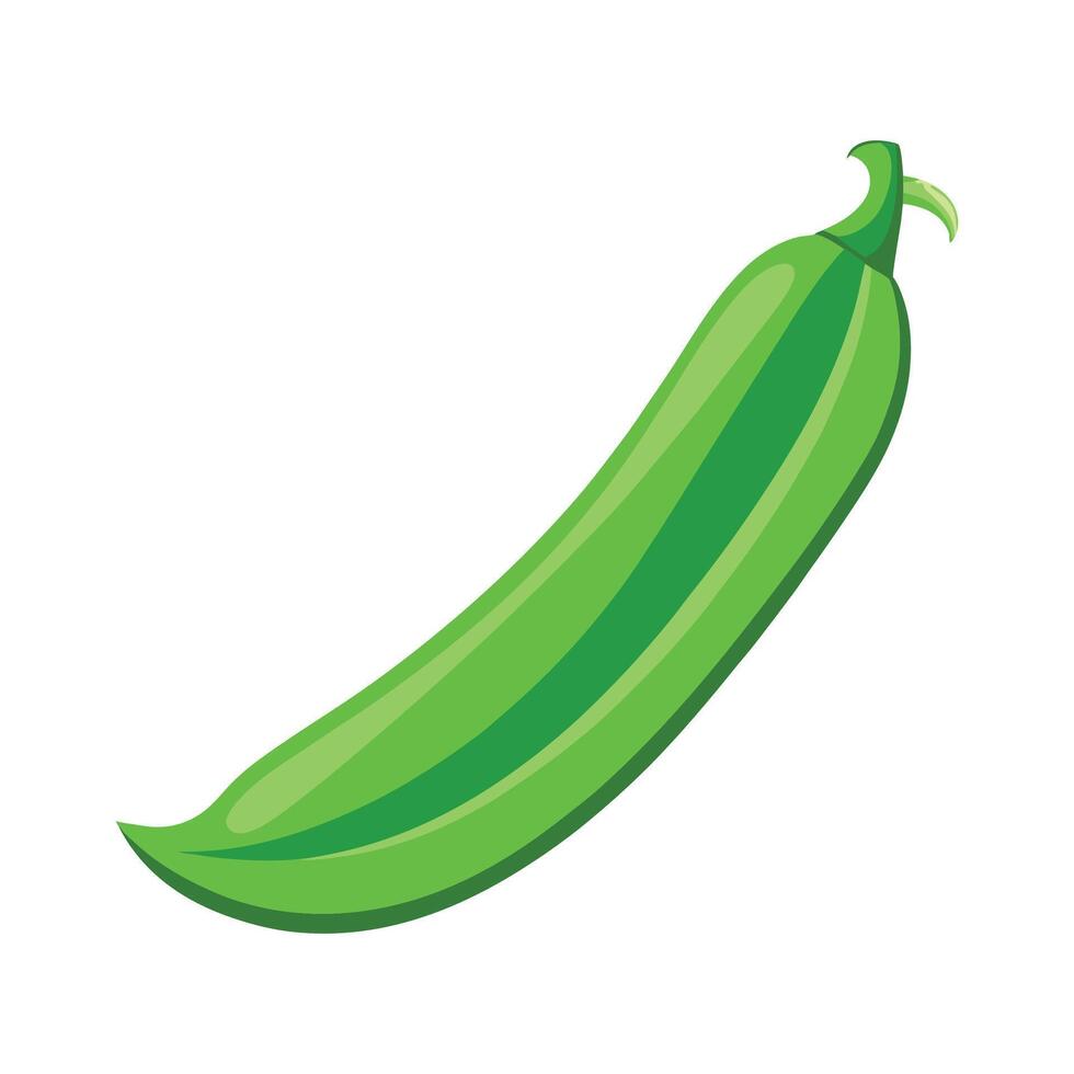 Slender Green Bean Design for Culinary Art vector