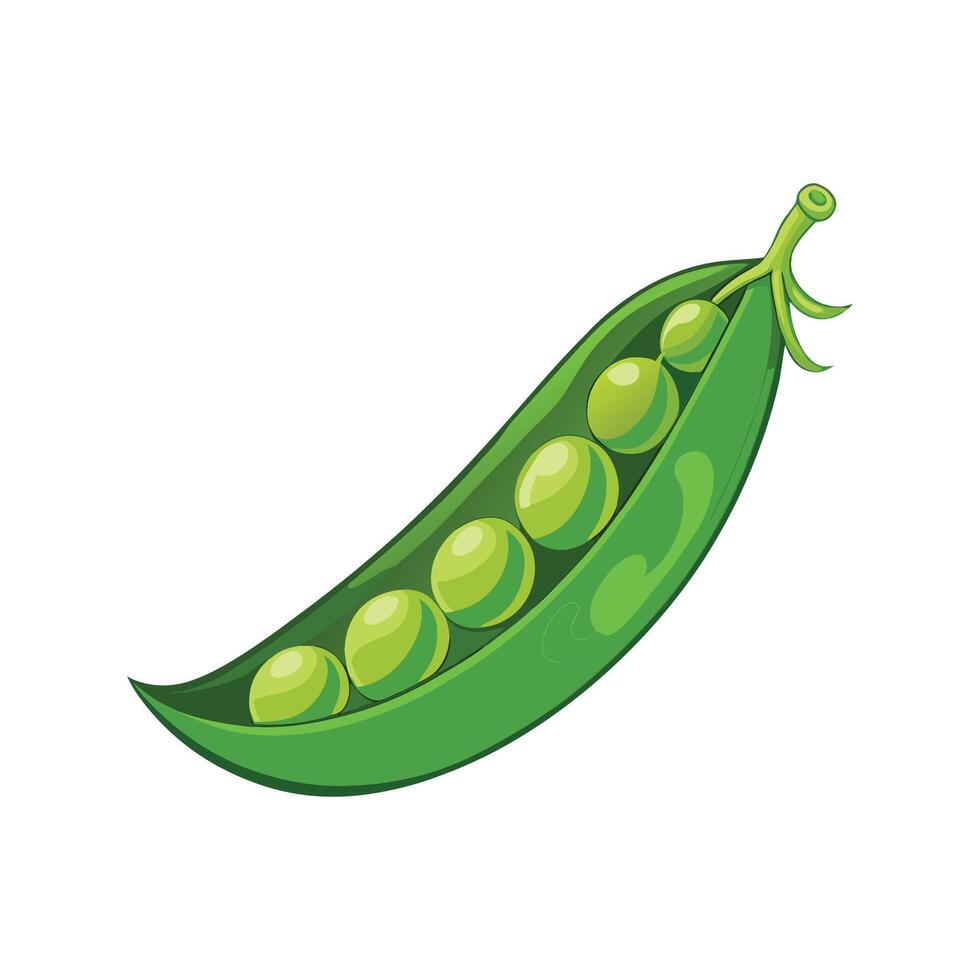 Artistic Green Pea Pod with Opened View vector