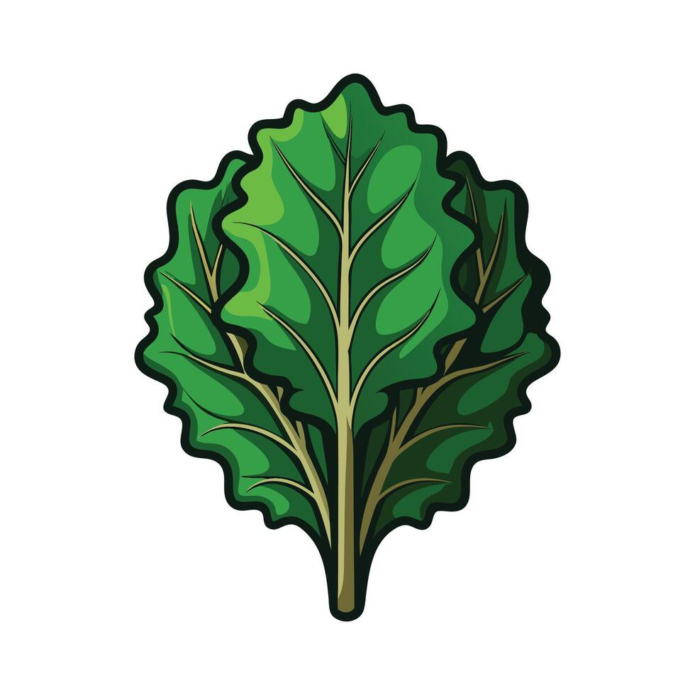 Artistic Frilly Kale Leaf for Illustrations vector