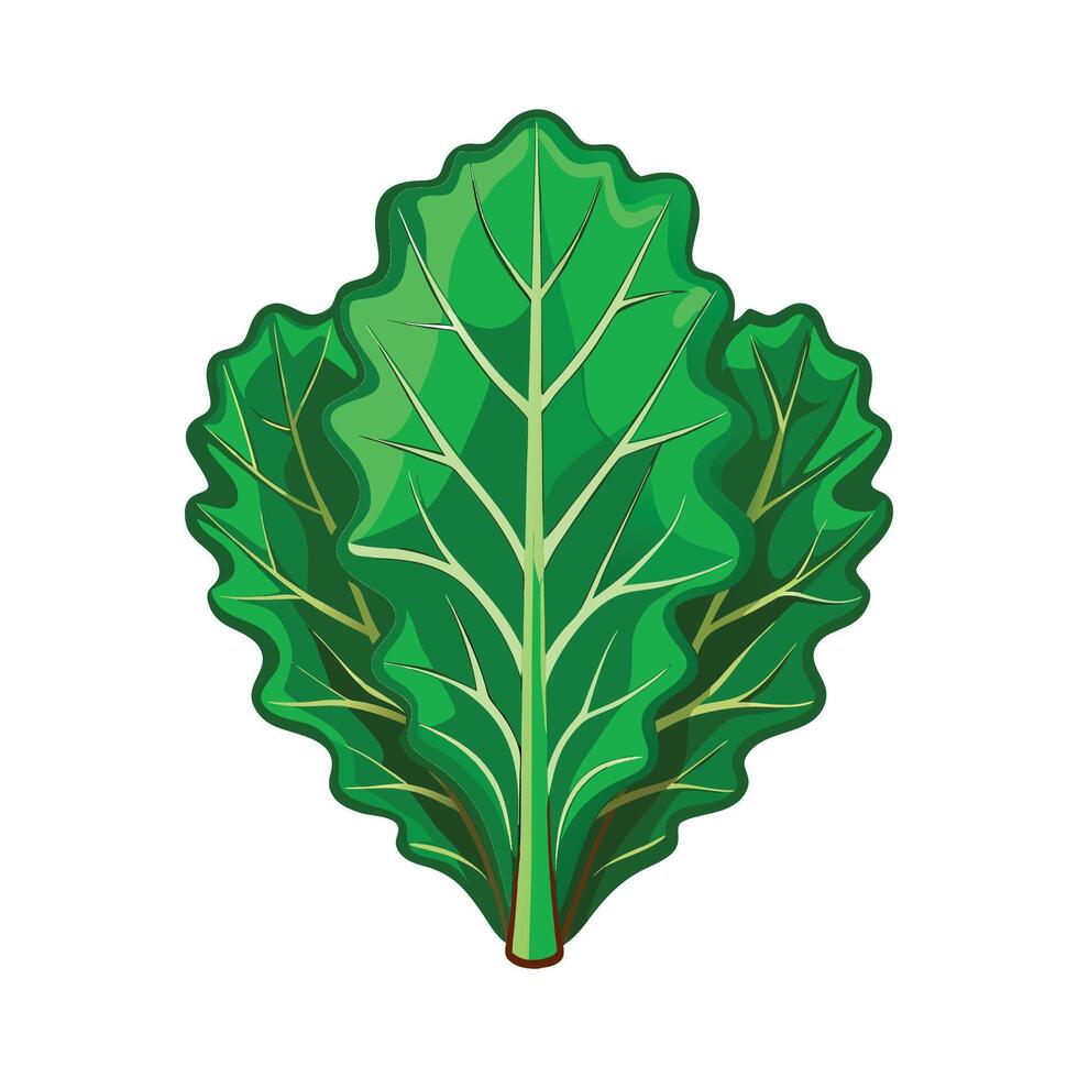 Artistic Kale with Wrinkled Leaves vector