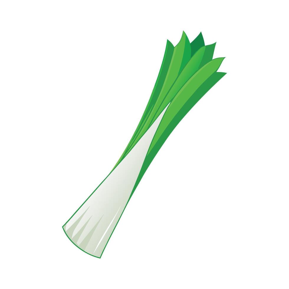 Stylish Long Straight Stalk Leek vector