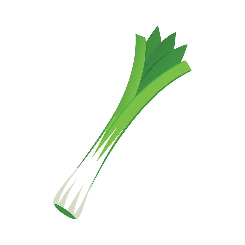 Art of Long Straight Stalk Leek vector