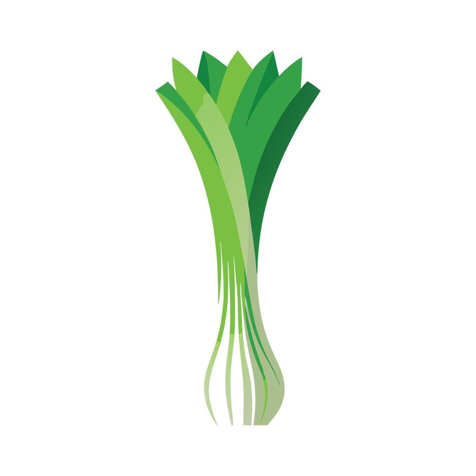Single Leek with Tall Flared Green Tops vector