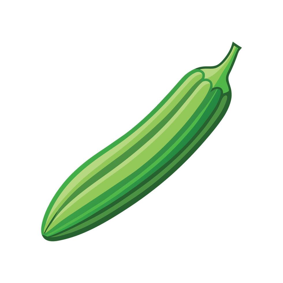 Stylish Okra Pod with Pointed Ends vector