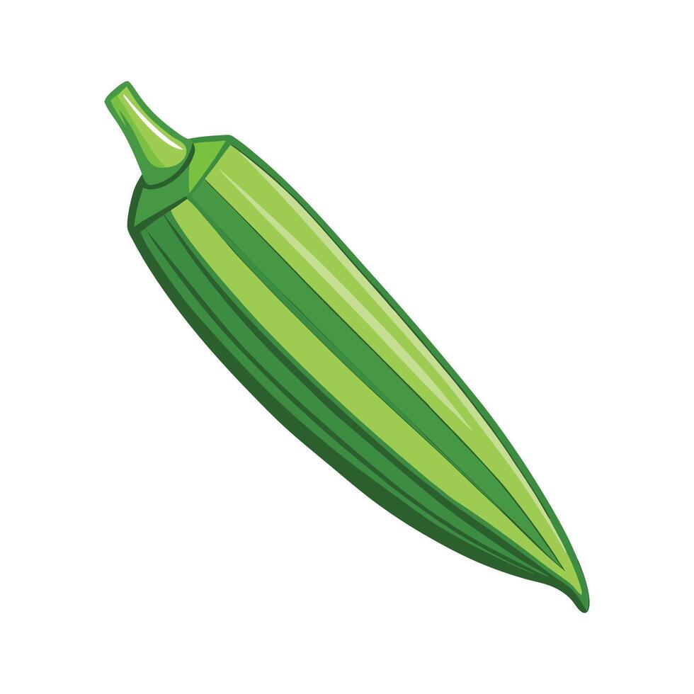 Single Okra Pod with Pointed Tip Illustration vector