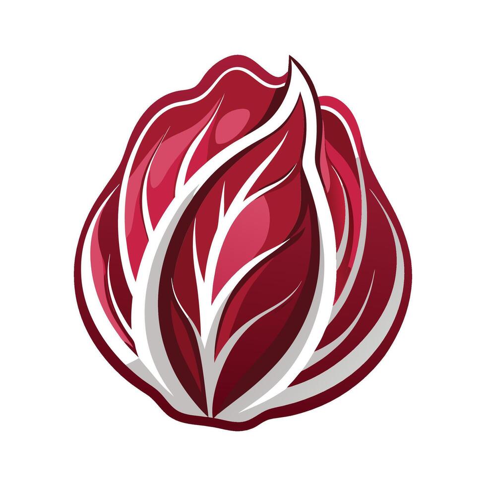 Bold Red and White Veins Radicchio Leaf vector