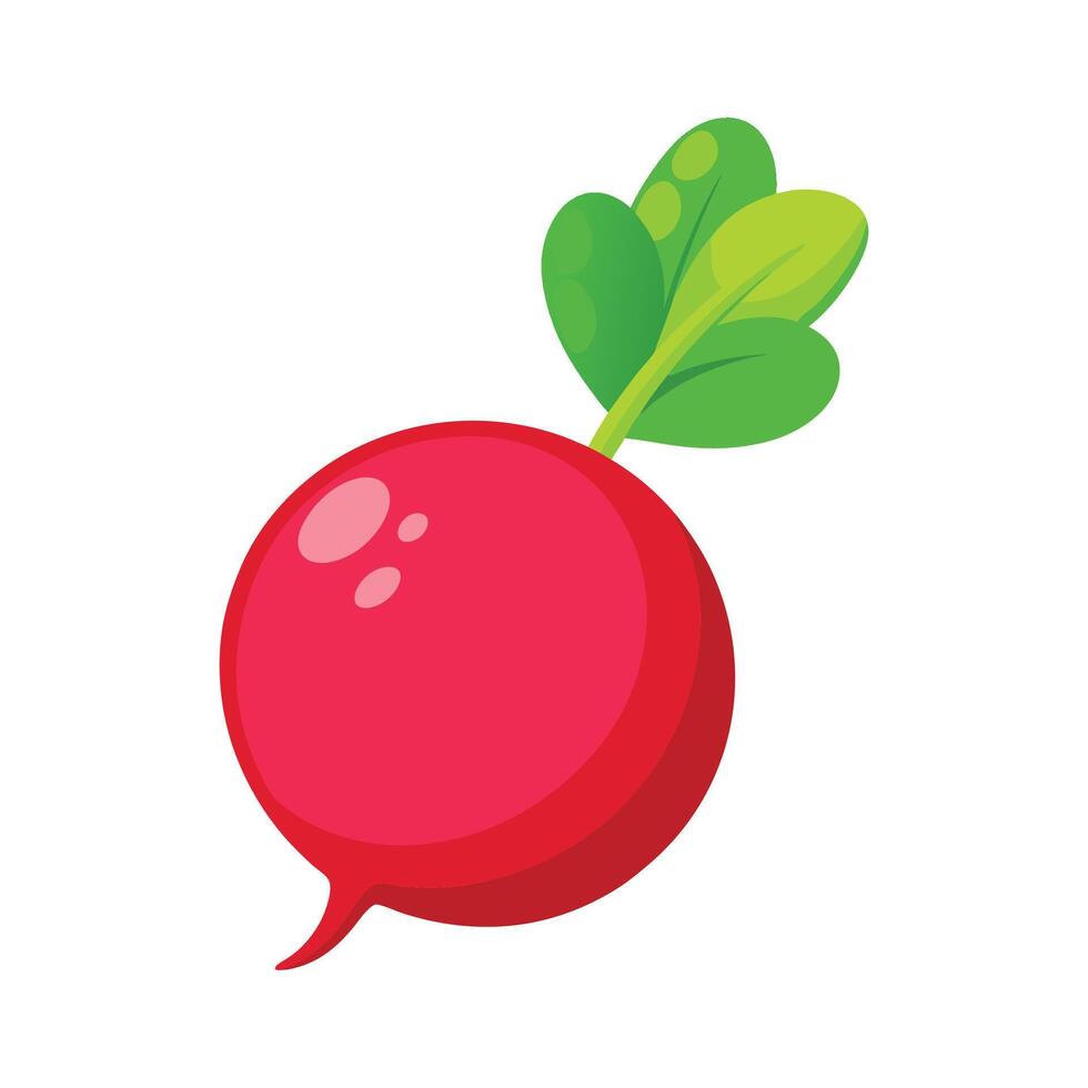 Artistic Radish with Bright Red Skin vector