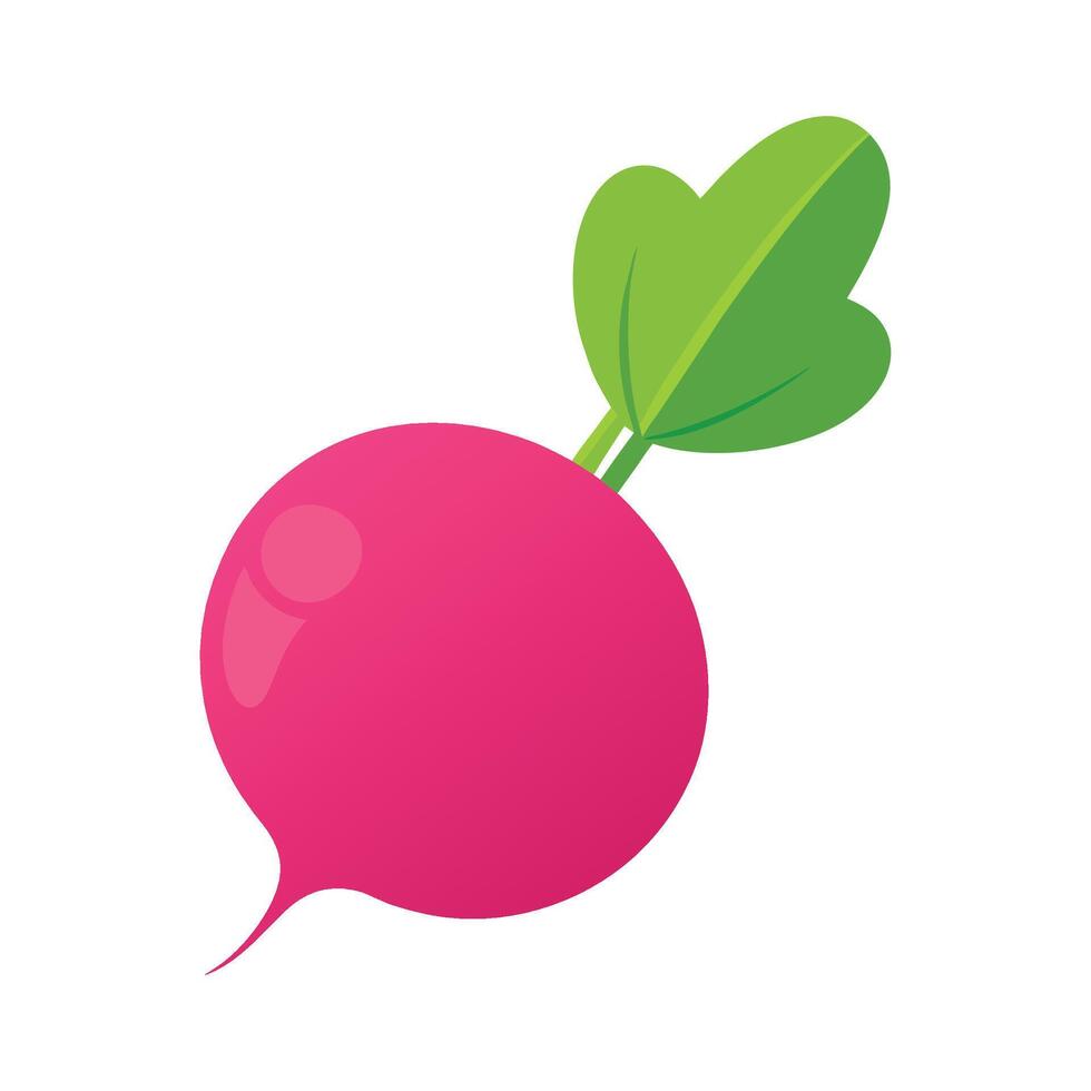 Stylish Radish with Round Pink Body vector