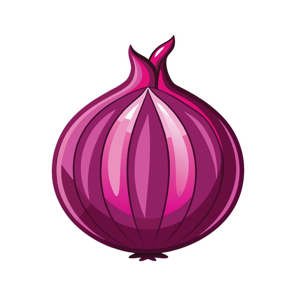 Elegant Red Onion with Layered Purple Skin vector