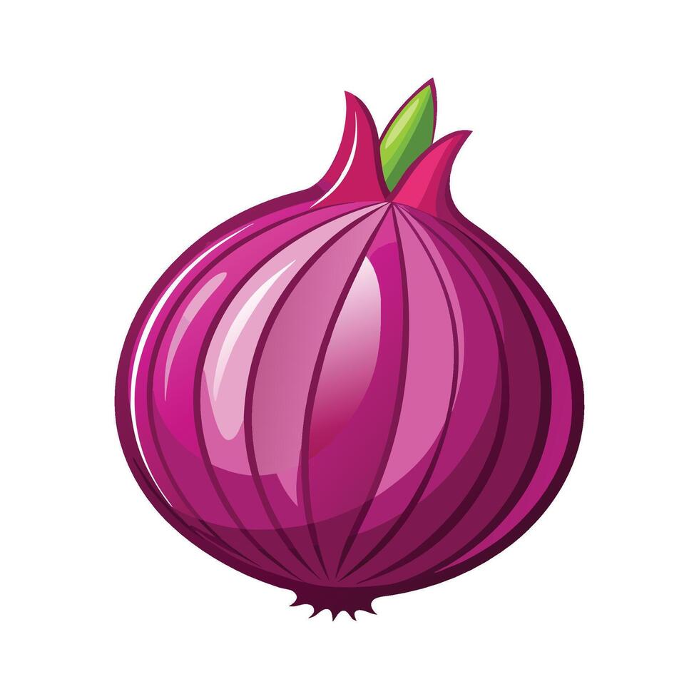 Single Red Onion with Layered Purple Skin vector