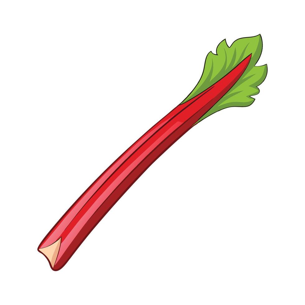 Single Rhubarb Stalk with Red Tones vector