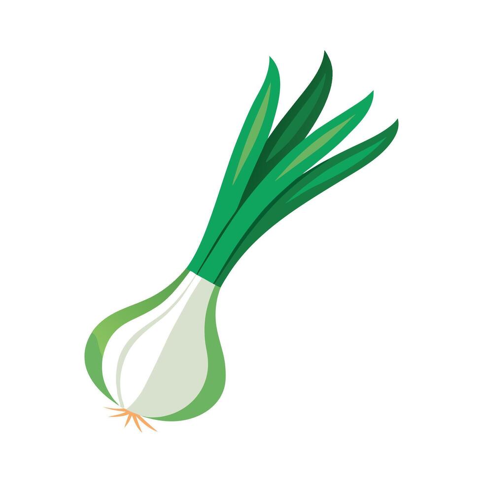Artistic Scallion with Long Green Leaves vector