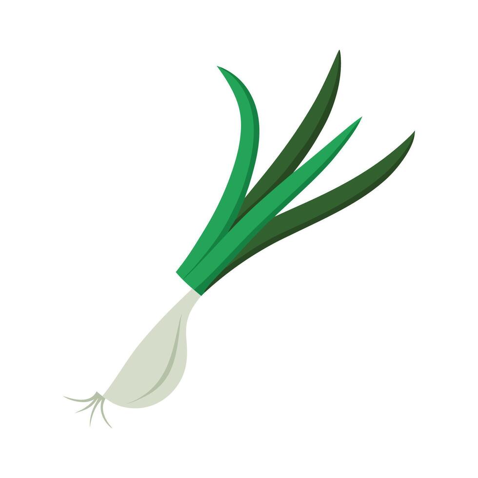 Stylish Scallion with Long Green Leaves vector