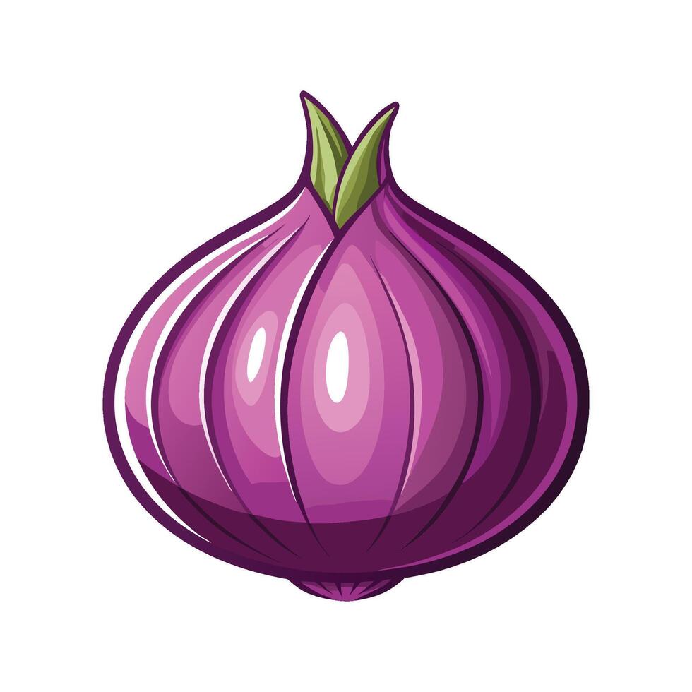 Artistic Shallot with Papery Purple Skin vector