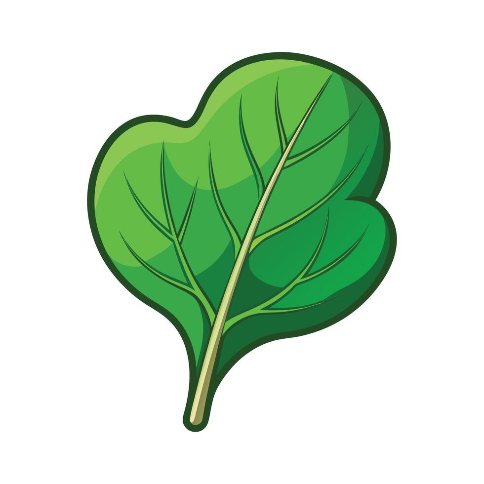 Elegant Spinach Leaf with Smooth Contours vector