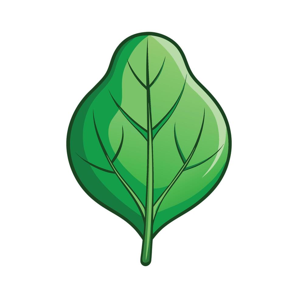 Stylish Spinach Leaf with Smooth Contours vector