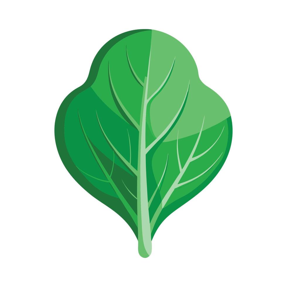 Single Spinach Leaf with Textured Veins vector