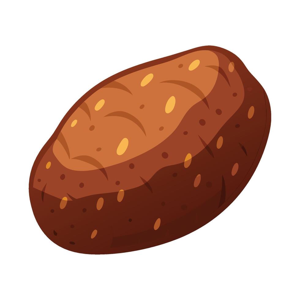 Single Taro Root with Rough Brown Skin vector