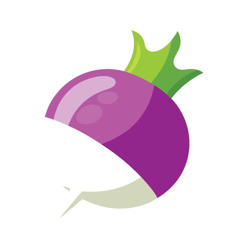 Stylish Turnip with White and Purple Skin vector