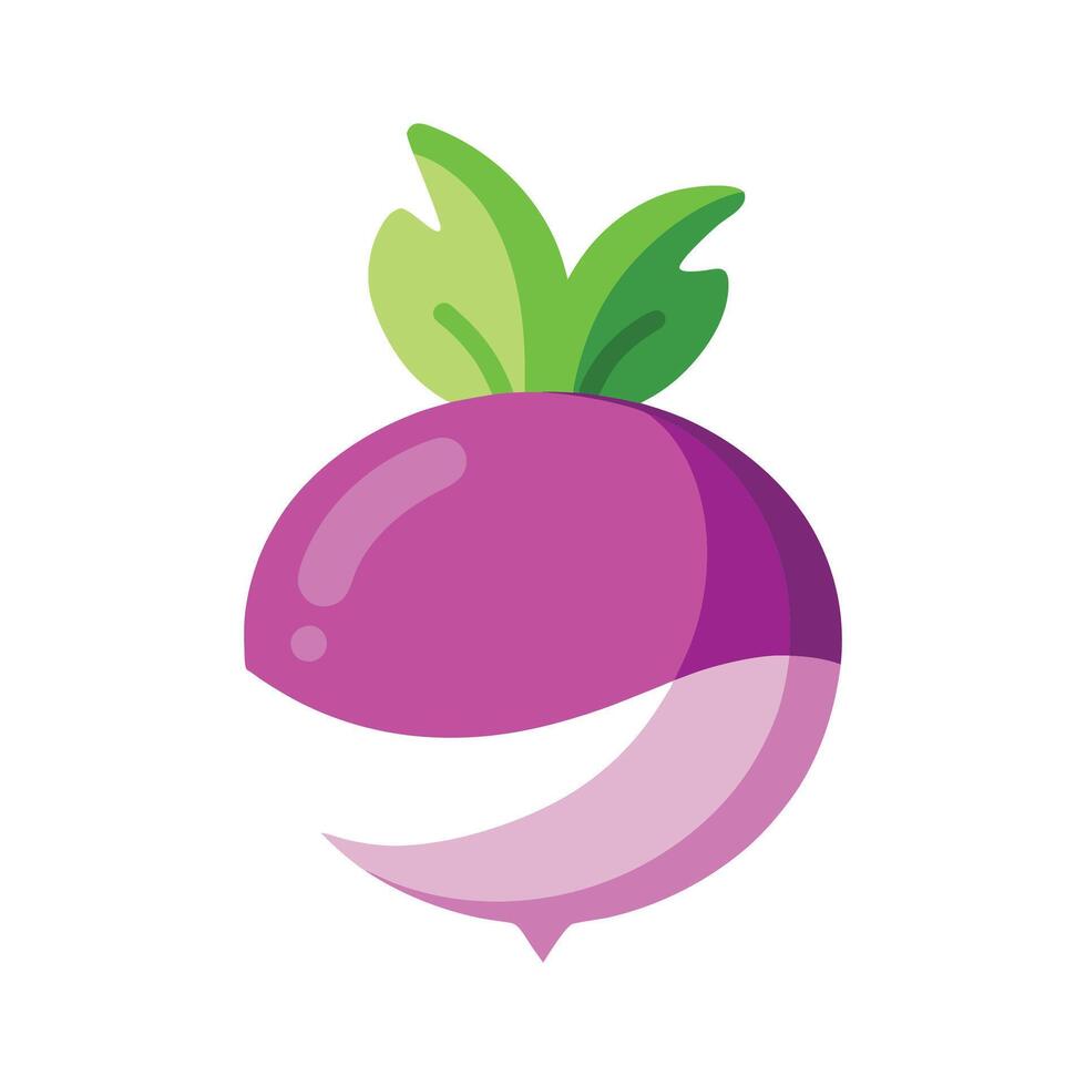 Stylish Round Turnip with White and Purple Skin vector