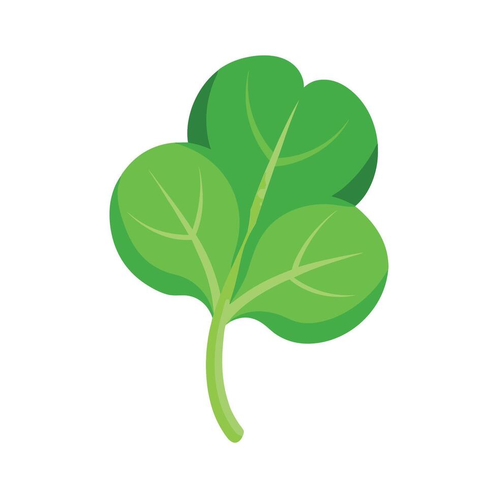 Elegant Watercress Leaf with Rounded Shape vector