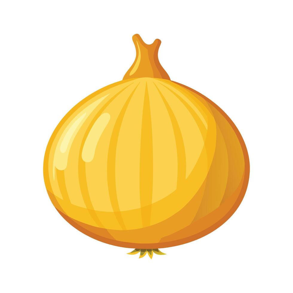 Single Yellow Onion with Papery Skin vector