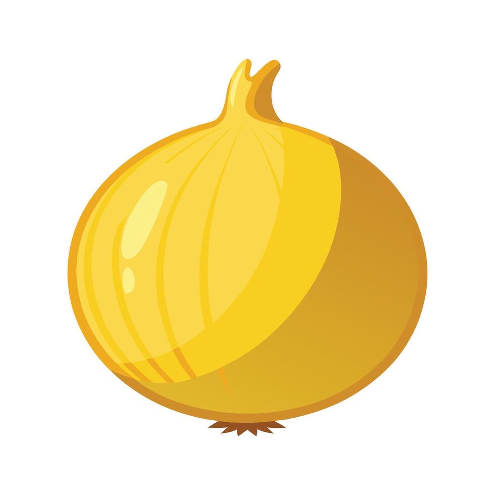 Stylish Yellow Onion with Papery Skin vector