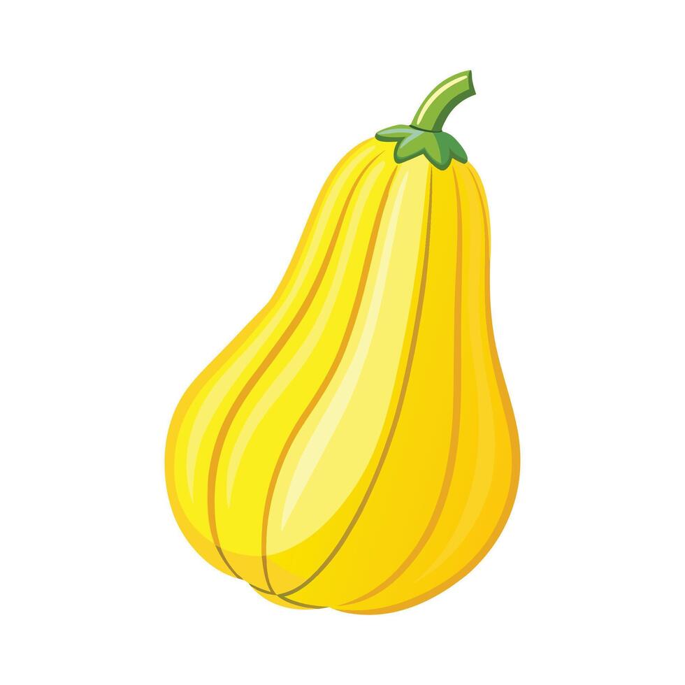 Stylish Yellow Squash with Curved Shape vector
