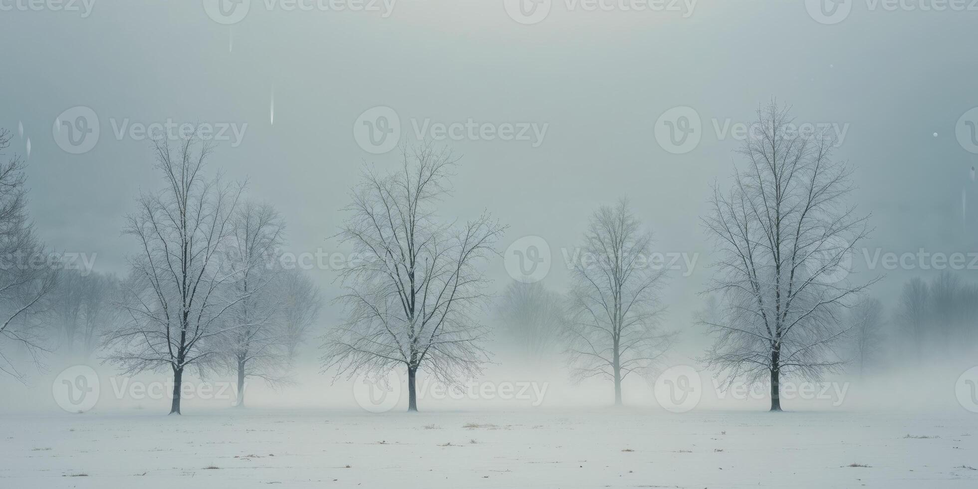 A group of trees in a snow covered field photo
