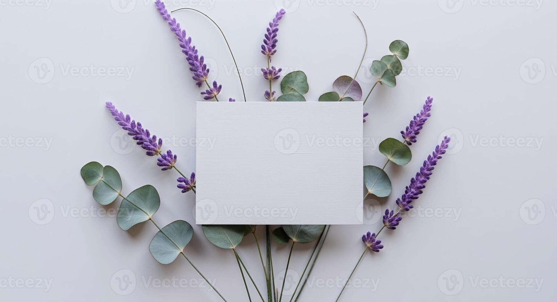 Lavender flowers and eucalyptus leaves on white background photo